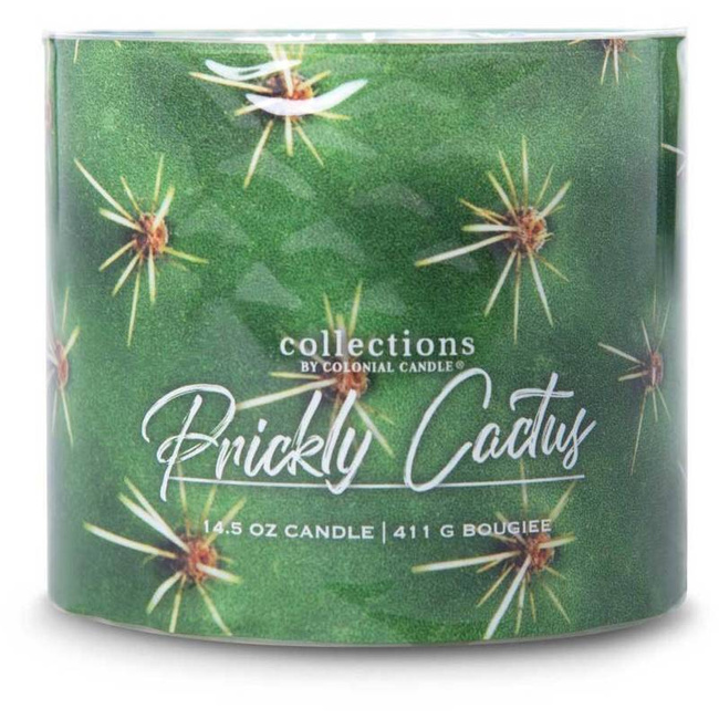 Colonial Candle Desert Collection sojų kvapioji žvakė stiklinėje 3 dagčiai 14,5 uncijos 411 g – Dygliuotas kaktusas