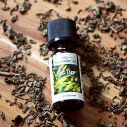 Tea tree olie etherisch natuurlijk Aroma Dream 10 ml