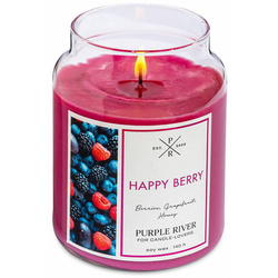 Soy scented candle Happy Berry Purple River 623 g