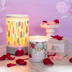 Elektrisch geurbrander Ted Friends - Boho