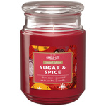Natuurlijke kerst geurkaars Candle-lite Everyday 510 g - Sugar Spice