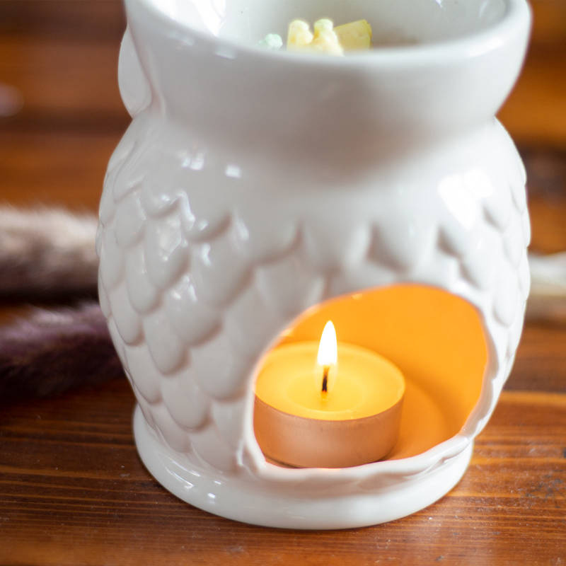 Brucia essenze Owl Bianco ceramica gufo